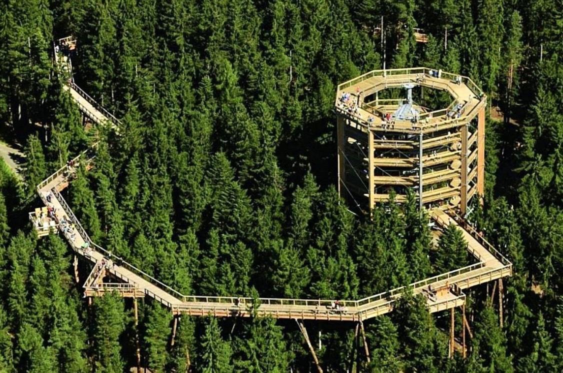 Holiday House Lipno-Slupecna ليبنو ناد فلتافو المظهر الخارجي الصورة